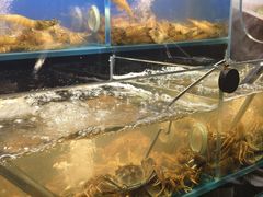 -苏格里岛自助烤肉海鲜火锅(成都金牛万达店)