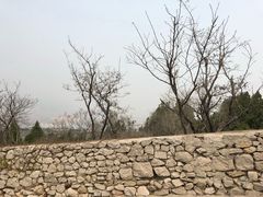 -原山国家森林公园