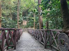 -广州市白云山风景名胜区