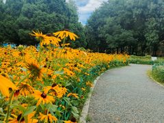 -太阳宫公园
