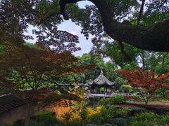 -申粤轩酒楼·三十年粤菜经典(丁香花园店)