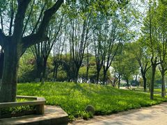 -石家庄市植物园