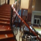 前几天聚餐来的这里，挺不错的，尤其喜欢鲜果鲜虾球68