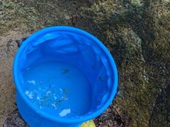 -火炉山森林公园