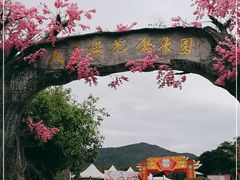 -天适樱花悠乐园