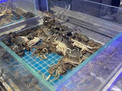 -一方渔歌蒸汽海鲜自助(文化路万达广场店)