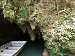 -怀托摩萤火虫洞