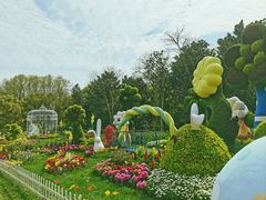 -上海共青森林公园