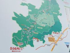 -大围山国家森林公园
