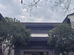 -雅达·阳羡溪山小镇中心