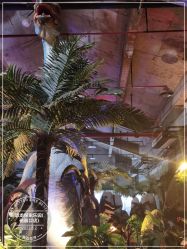 -恐龙探索乐园(磁器口店)