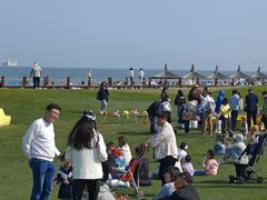 -秦皇岛阿尔卡迪亚滨海度假酒店