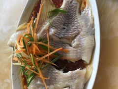 清蒸红宝石鱼-小海豚•老字号海鲜餐厅(天涯店)