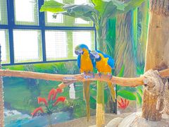 -海合安武汉极地海洋公园