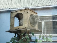 -青藏高原野生动物园