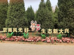 -大兴滨河森林公园