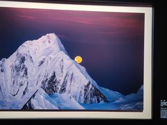 -罗红摄影艺术馆