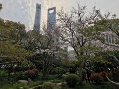 -春风松月楼(七宝万科店)