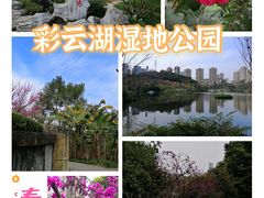 -重庆彩云湖湿地公园