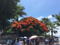 -黄胜记鼓浪屿肉松店(龙头路店)