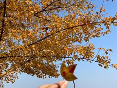 -金海湾滨江公园