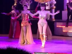 -金东尼人妖秀