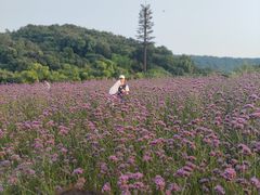-凡花楼(拈花湾店)