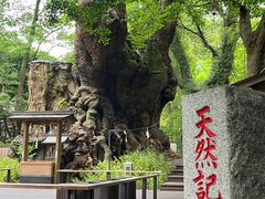 -来宫神社