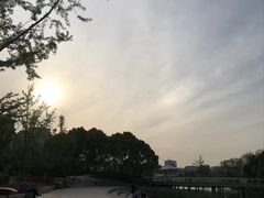 -新江湾城公园