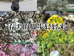 -泽雅景区
