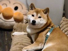 -三目仓咖啡(贤南路店)