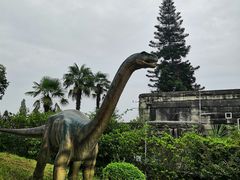 -自贡恐龙博物馆