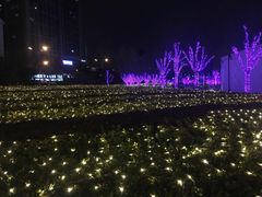 -远洋未来广场(育慧北路店)