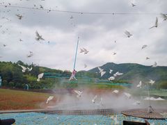 -瓷天下海丝谷