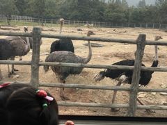 -西安秦岭野生动物园