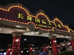 -广州长隆国际大马戏