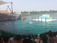 -秦皇岛乐岛海洋王国