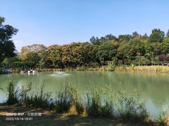 -金陵矩阵(聚宝山公园店)