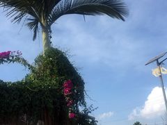 -边寨喊沙