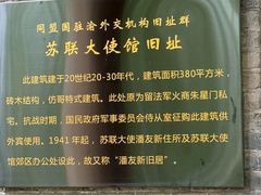 -南山植物园