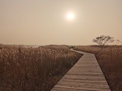 -野鸭湖国家湿地公园