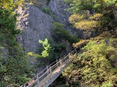-秦岭天竺山生态文化旅游景区