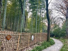 -张鸟园农家乐(张鸟园店)