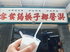-洪馨椰子
