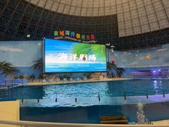 -泉城欧乐堡海洋极地世界