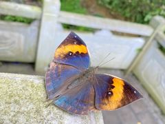-天河潭旅游度假区