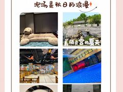 -和畅唐山汤