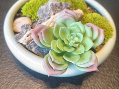 -三利音·浦之舟(滨江大道店)