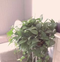 -尚美皮肤管理·美甲美睫高订