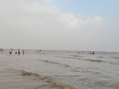 -南汇新城海滩